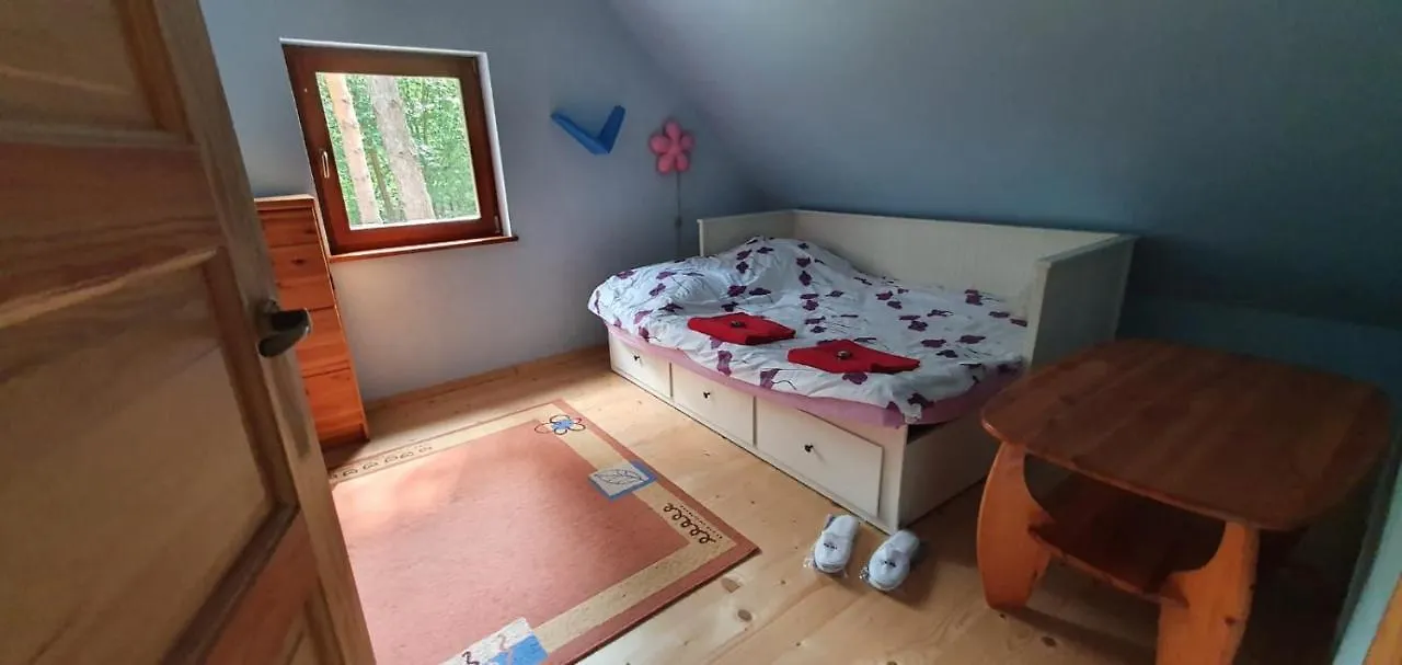 Willa Wooden House&Pool Gdańsk
