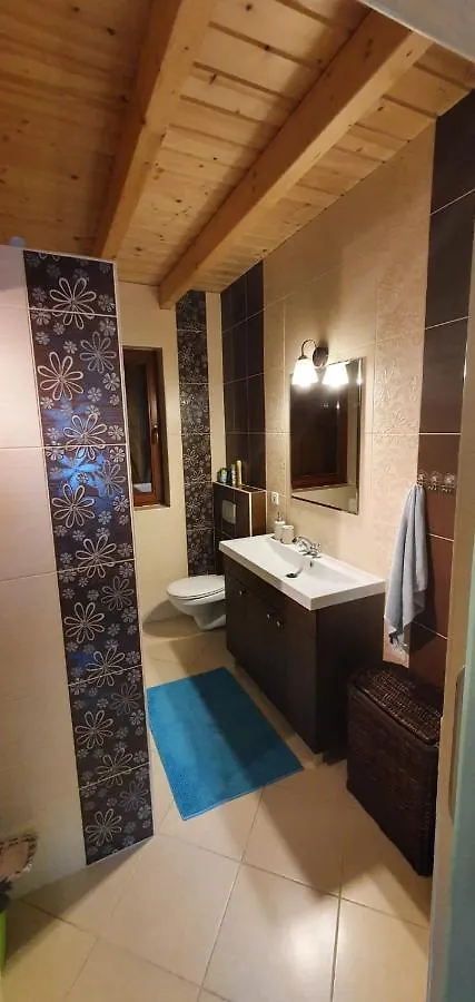 Vila Wooden House&Pool Gdaňsk